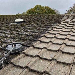 Roof Cleaning Wicklow