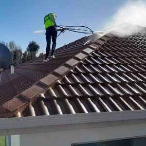 Roof Painting Dublin