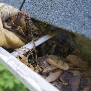 Gutter Cleaning Dublin