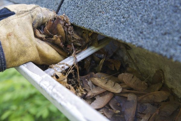 Gutter Cleaning Dublin